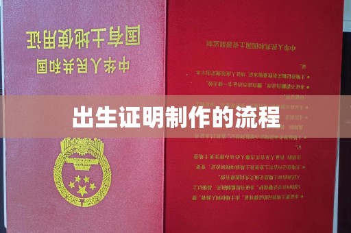 衡南出生证明制作的流程